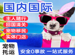 黔东南黎平机场快运国际宠物托运 【国